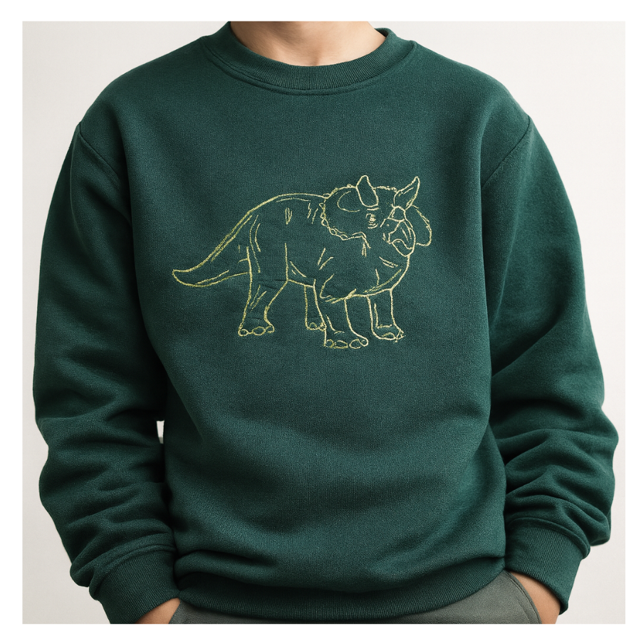 Lucky Threads kids dinosaur sweatshirt