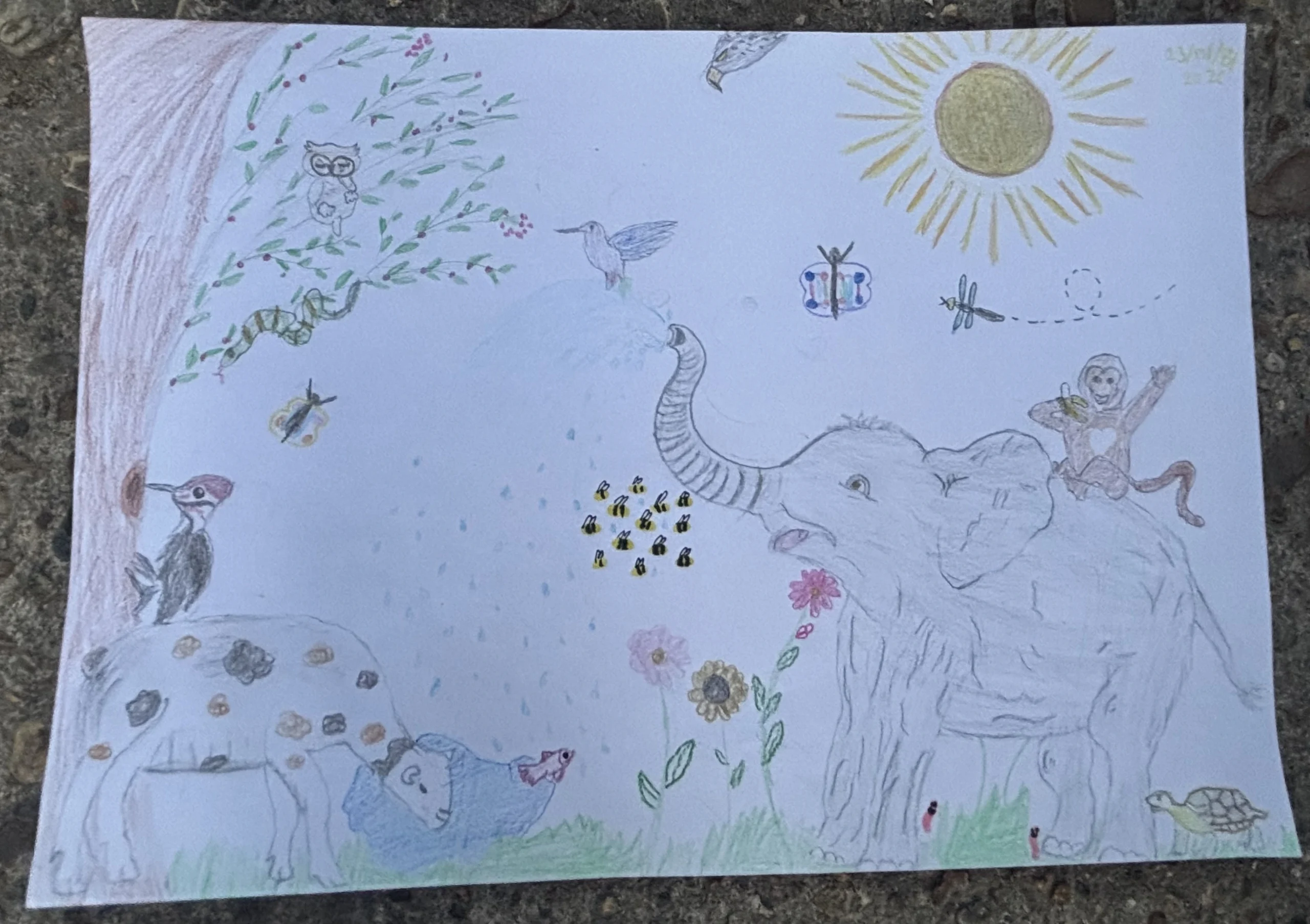 Muhammed – Age 11 artwork